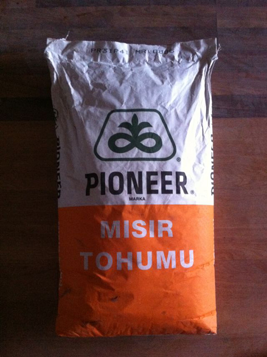Pioneer Msr Tohumu